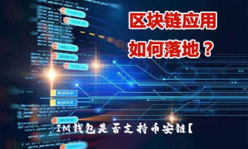 IM钱包是否支持币安链？