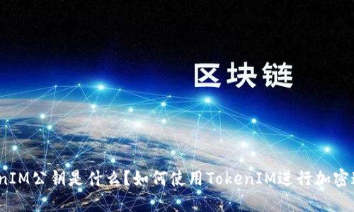 TokenIM公钥是什么？如何使用TokenIM进行加密通讯？