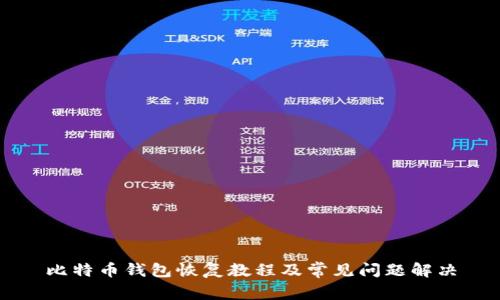 比特币钱包恢复教程及常见问题解决