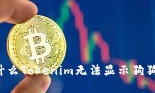 为什么Tokenim无法显示狗狗币？