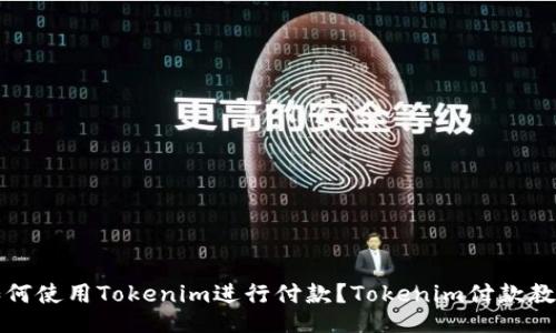 如何使用Tokenim进行付款？Tokenim付款教程