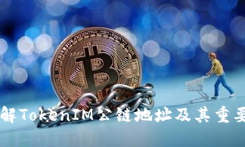 了解TokenIM公链地址及其重要性