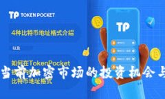 Tokenim：当前加密市场的投