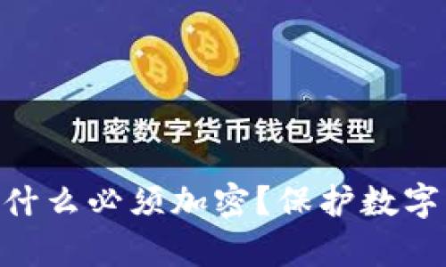 Tokenim私钥为什么必须加密？保护数字资产的关键分析