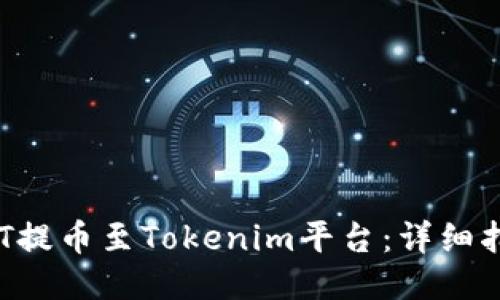 如何将NFT提币至Tokenim平台：详细指南与策略