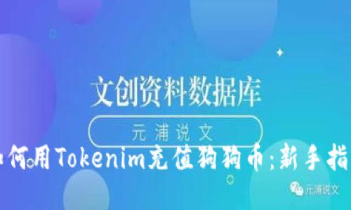 如何用Tokenim充值狗狗币：新手指南