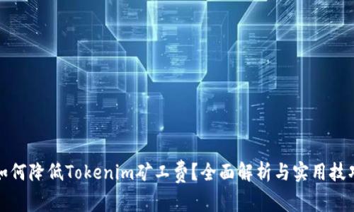 如何降低Tokenim矿工费？全面解析与实用技巧