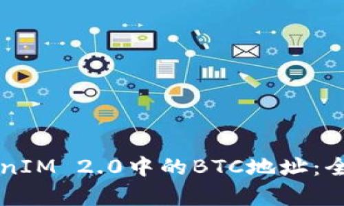 深入了解TokenIM 2.0中的BTC地址：全面解析与应用