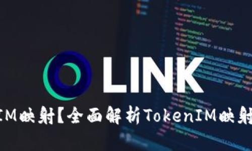 什么是TokenIM映射？全面解析TokenIM映射机制及其应用