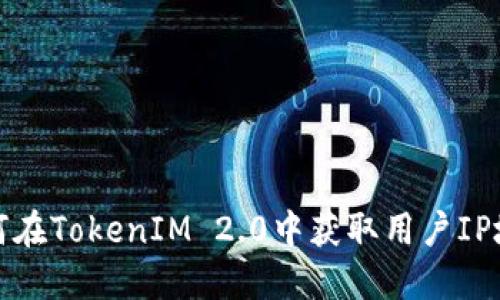 如何在TokenIM 2.0中获取用户IP地址