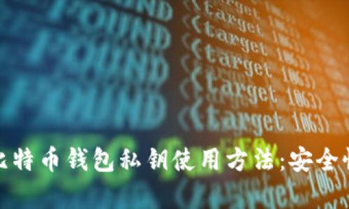 全面解析比特币钱包私钥使用方法：安全性与实用性