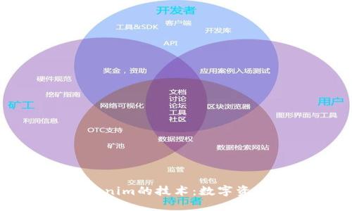 深入探讨Tokenim的技术：数字资产管理的未来