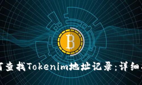 如何查找Tokenim地址记录：详细指南