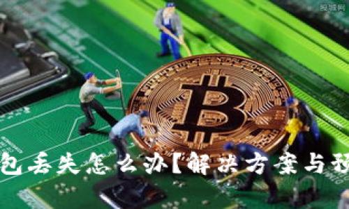 比特币冷钱包丢失怎么办？解决方案与预防措施解析