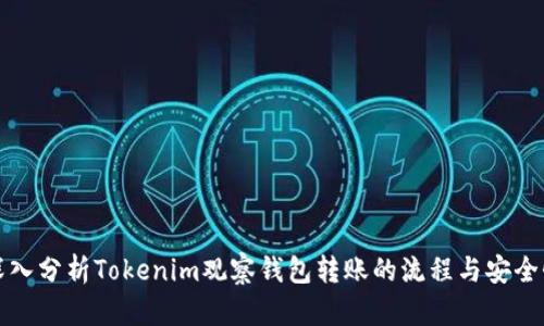 深入分析Tokenim观察钱包转账的流程与安全性