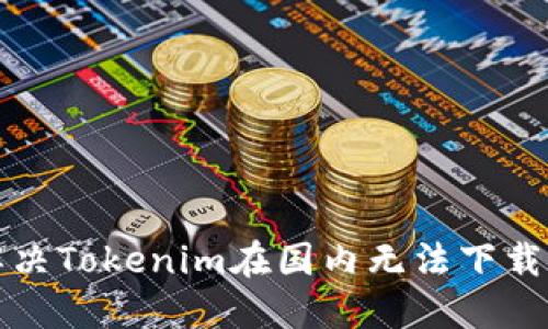 如何解决Tokenim在国内无法下载的问题