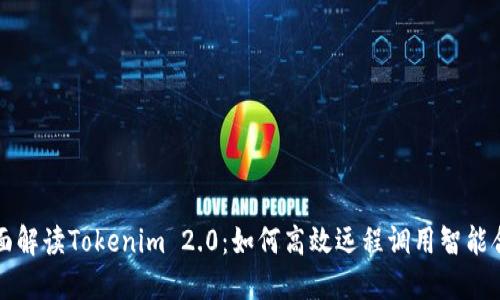 全面解读Tokenim 2.0：如何高效远程调用智能合约