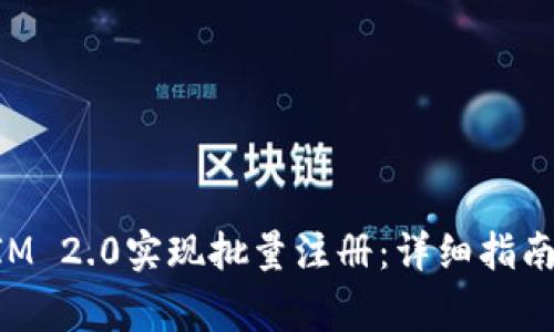 如何使用TokenIM 2.0实现批量注册：详细指南与常见问题解答