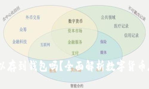 USDT可以存到钱包吗？全面解析数字货币存储方式