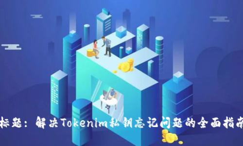 标题: 解决Tokenim私钥忘记问题的全面指南