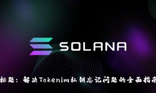 标题: 解决Tokenim私钥忘记问题的全面指南