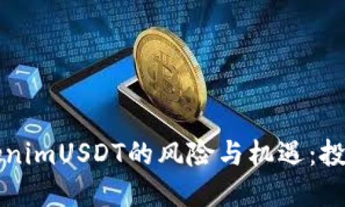 解读TokenimUSDT的风险与机遇：投资者必读