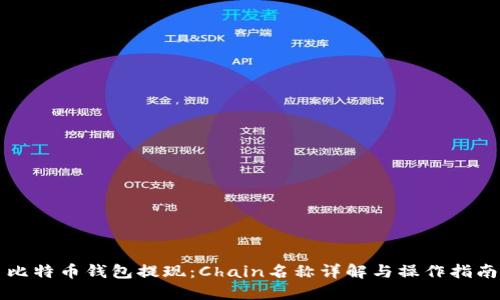 比特币钱包提现：Chain名称详解与操作指南