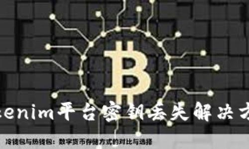 Tokenim平台密钥丢失解决方案