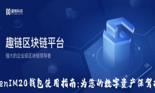   
TokenIM20钱包使用指南：为您的数字资产保驾护航