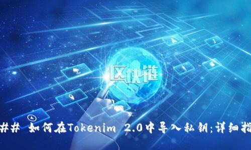 ### 如何在Tokenim 2.0中导入私钥：详细指南