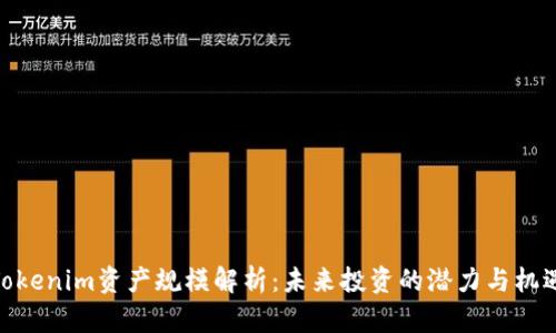 Tokenim资产规模解析：未来投资的潜力与机遇