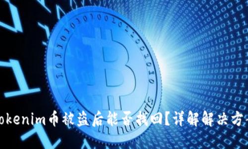 Tokenim币被盗后能否找回？详解解决方案