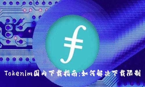 Tokenim国内下载指南：如何解决下载限制