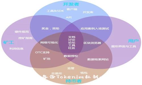 如何安全备份Tokenim私钥：完整指南