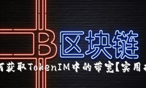 如何获取TokenIM中的带宽？实用指南