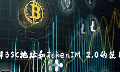 深入理解BSC地址和TokenIM 2.0的使用与优势