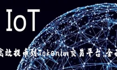 如何高效提币到Tokenim交易平台：全面指南