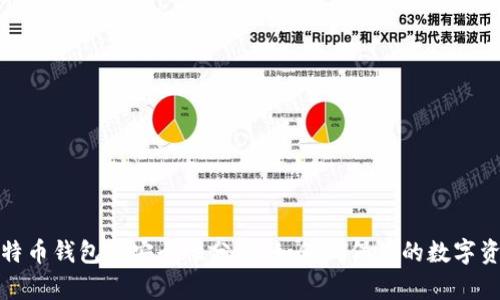 早期比特币钱包的安全性分析：如何确保你的数字资产安全