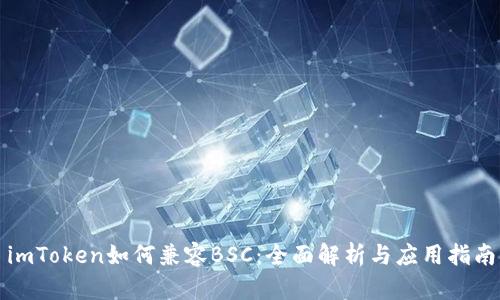 imToken如何兼容BSC：全面解析与应用指南