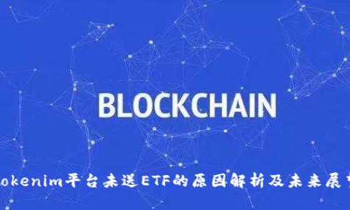 Tokenim平台未送ETF的原因解析及未来展望