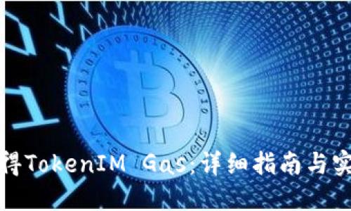 如何获得TokenIM Gas：详细指南与实用技巧