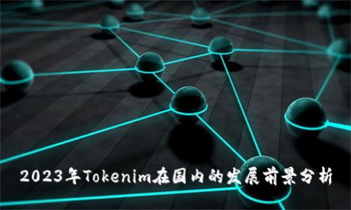 2023年Tokenim在国内的发展前景分析