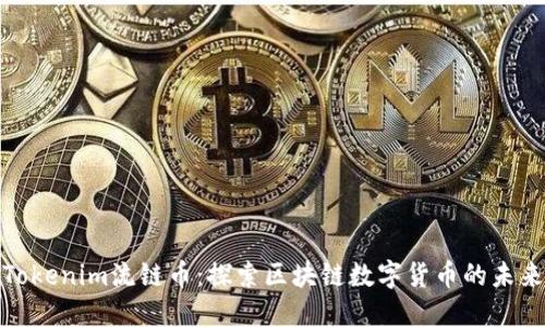 Tokenim流链币：探索区块链数字货币的未来