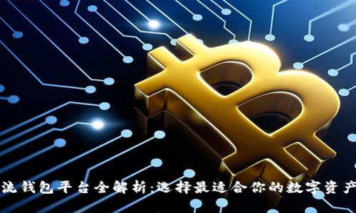 区块链主流钱包平台全解析：选择最适合你的数字资产管理工具