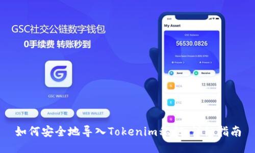 如何安全地导入Tokenim私钥：详细指南