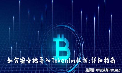 如何安全地导入Tokenim私钥：详细指南