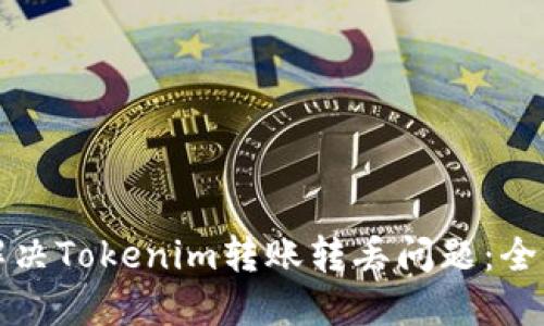 如何解决Tokenim转账转丢问题：全面指南