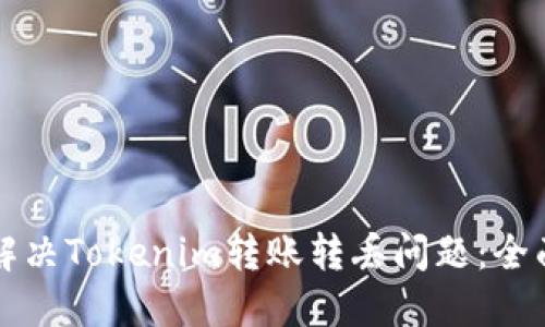 如何解决Tokenim转账转丢问题：全面指南