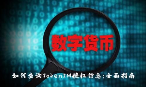 如何查询TokenIM授权信息：全面指南