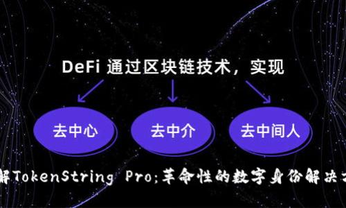 了解TokenString Pro：革命性的数字身份解决方案